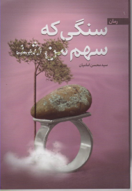 سنگی که سهم من شد