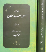 دیوان مسعود سعد سلمان (2 جلدی)