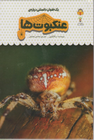 عنکبوت ها (یک فنجان دانستنی درباره 25)