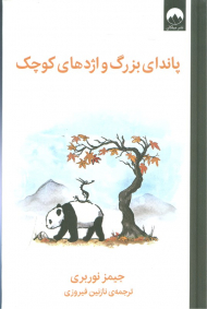 پاندا بزرگ و اژدهای کوچک