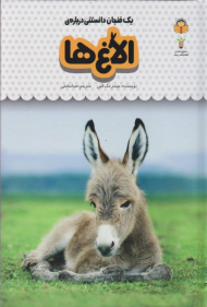 الاغ ها (یک فنجان دانستنی درباره 15)