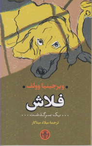 فلاش (یک سرگذشت)