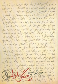 در جنگل بلوط