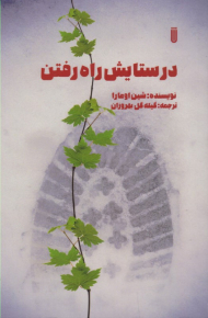 در ستایش راه رفتن