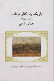 باریکه راه کنار مرداب