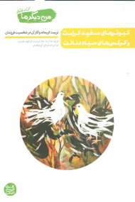 من دیگر ما 8 (کبوترهای سفید کرامت و کرکس هاس سیاه دنائت)