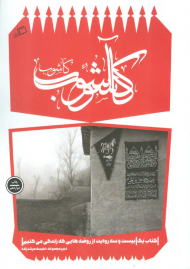 کاشوب ( بیست و سه روایت از روضه هایی که زندگی می کنیم )