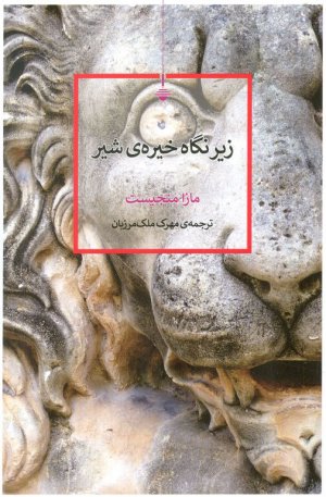 زیر نگاه خیره شیر