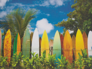 پازل 1000 تکه - SURFER'S PARADISE NO: 6000-0550