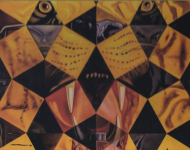 پازل 1000 تکه ریکوری کد 2801N15695