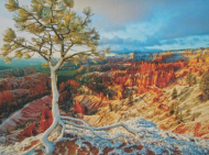 پازل 1000 تکه - WINTER SUNRISE NO: 6000-0692