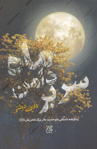 سر بر دامن ماه (زندگینامه داستانی بانو حدیث مادر بزرگ امام زمان)