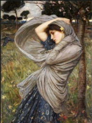 پازل 1000 تکه ریکوری کد 2801N25081