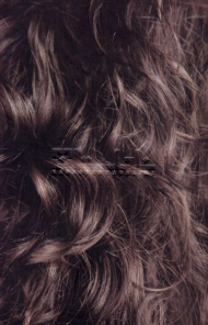 مجله ناداستان 16 (دی 1401)