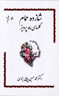 شازده حمام جلد 6 (گلهای ماه پرویز)