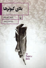 بلای کبوترها