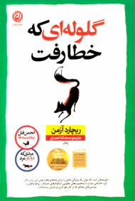 گلوله ای که خطا رفت