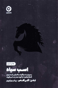 اسب سیاه (رسیدن به موفقیت و کامیابی از مسیری کاملا متفاوت از آنچه همه به ما می گویند)