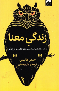 زندگی معنا (بررسی عمیق ترین پرسش ها و انگیزه ها در زندگی)