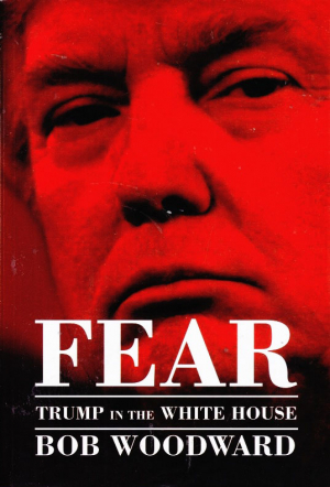 FEAR (TRUMP IN THE WHITE HOUSE