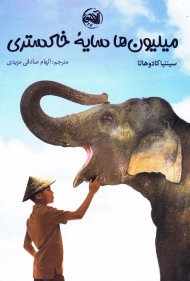 میلیون ها سایه خاکستری