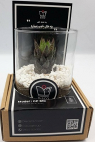 گلدان شیشه ای استوانه ایی کوچک - NO: GP0810