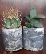 گلدان بتنی ابروباد استوانه کاکتوس