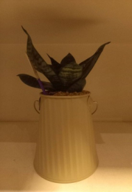 گلدان سطلی وارونه بزرگ