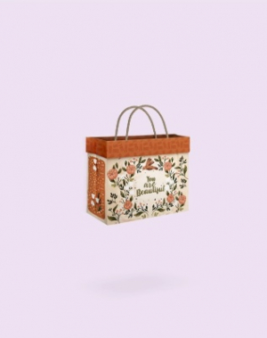 فولدی بگ سایز 6 لوتوس - GIFT Bag