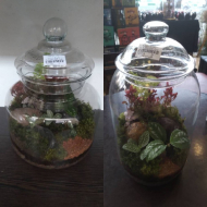 وابی کوزا سایز3