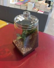 تراریوم الماس