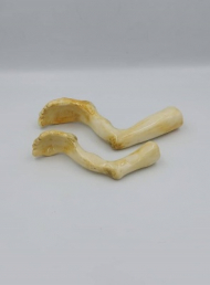 قاشق پا کوچک