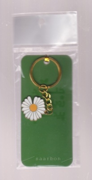 جاسوئیچی ساربن