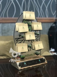 گردنبند پلنتیوم