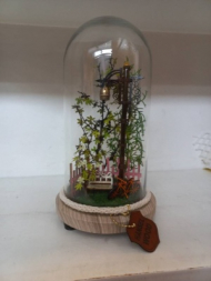 پارک فانتزی B