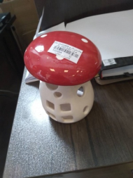 جاشمعی قارچ 469