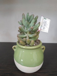 گلدان سفالی