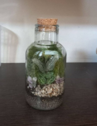 تراریوم فیتونیا سایز3