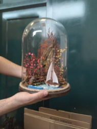 ساحل(جزیره) (P30)