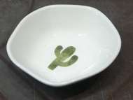 کاسه کاکتوس