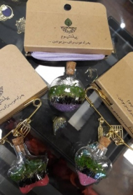 سنجاق سینه پلنتیوم