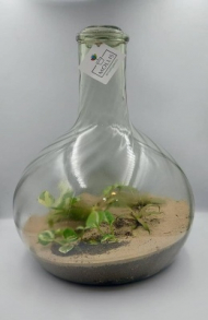 قرابه سایز 5