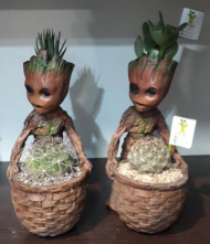 گلدان گروت سبددار ایستاده بزرگ