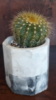 گلدان بتنی 8 ضلعی 1