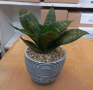 گلدان سرامیکی کوچک