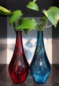 شیشه رنگی ریشه دار کوزه ای