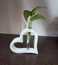 گلدان بتنی پتوس قلب