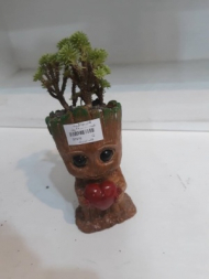 گلدان بچه گروت