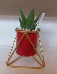 گلدان سطلی پایه هرمی