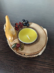 جاشمعی با پرنده (هوگه)